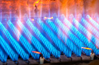 Bondleigh gas fired boilers